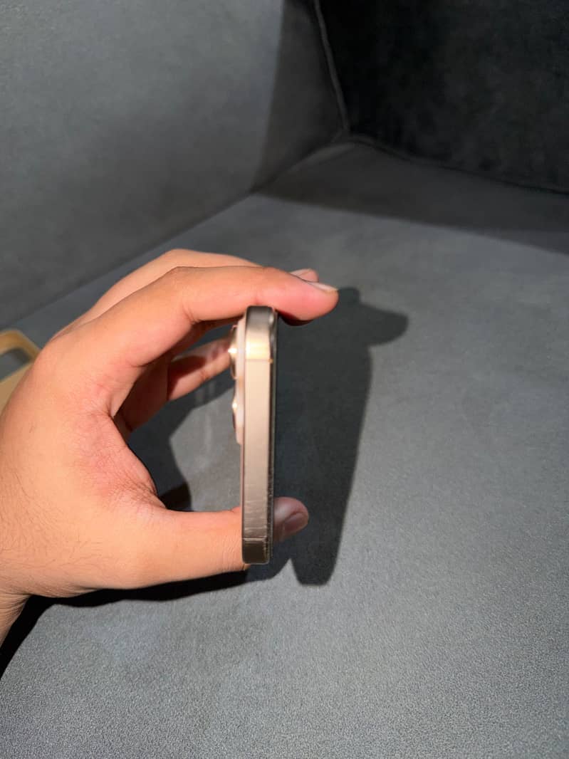 Apple iPhone 16 Pro Max 3
