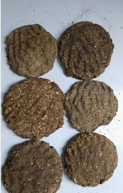 premium Natural cow Dung cakes (opla) 20