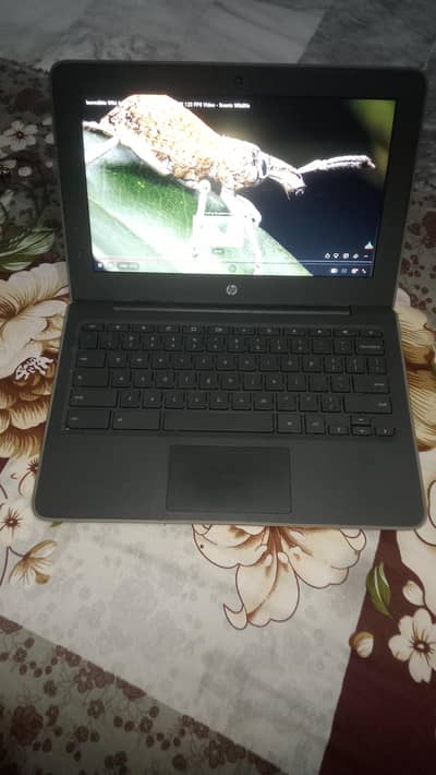 laptop Chromebook new condition 10