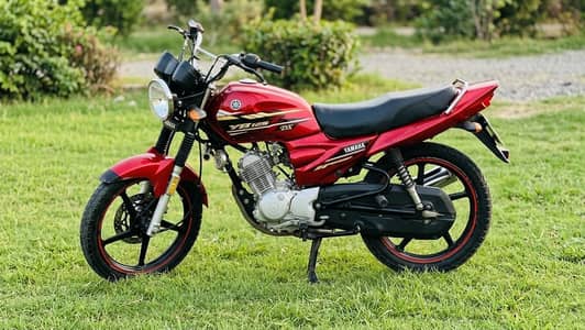 Yamaha ybdx 2021