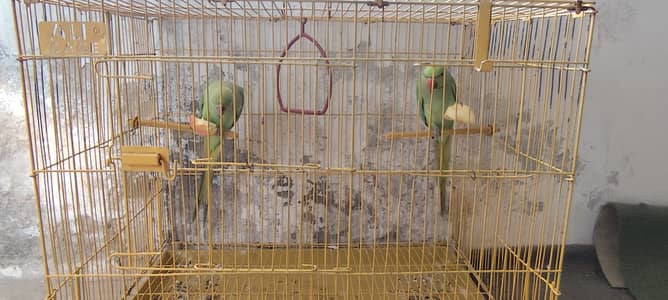 urgent sale