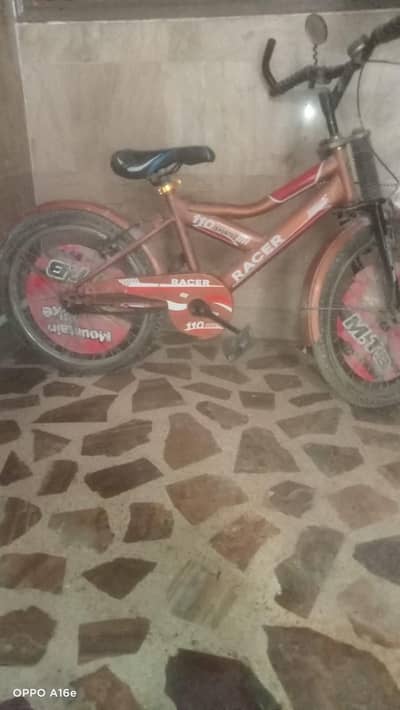 Bicycle