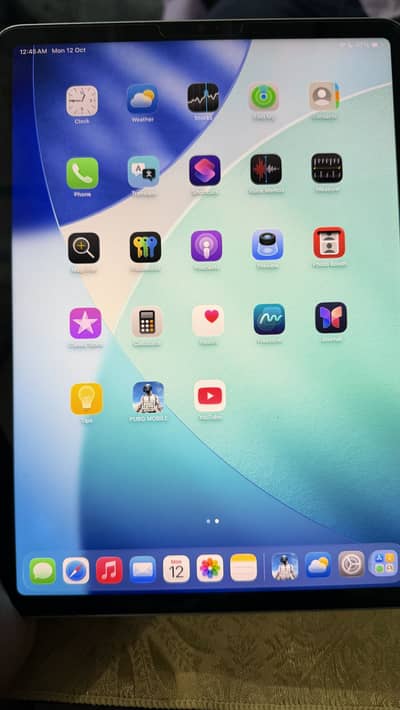Ipad pro m1 11 inch