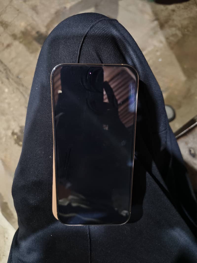 Apple iPhone 16 Pro Max 2