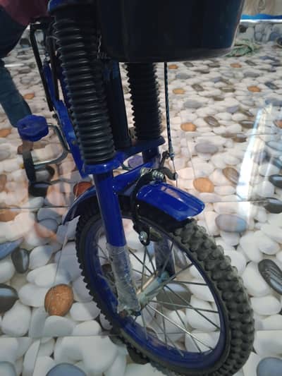 brand new cycle