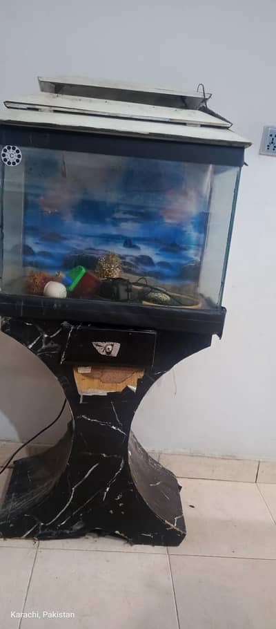 fish aquarium
