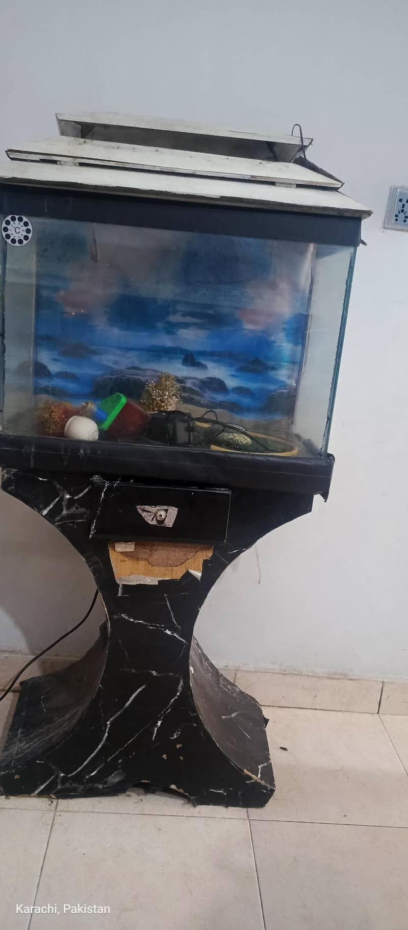 fish aquarium 0