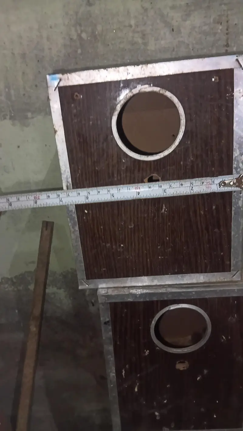 box love birds — photo 2