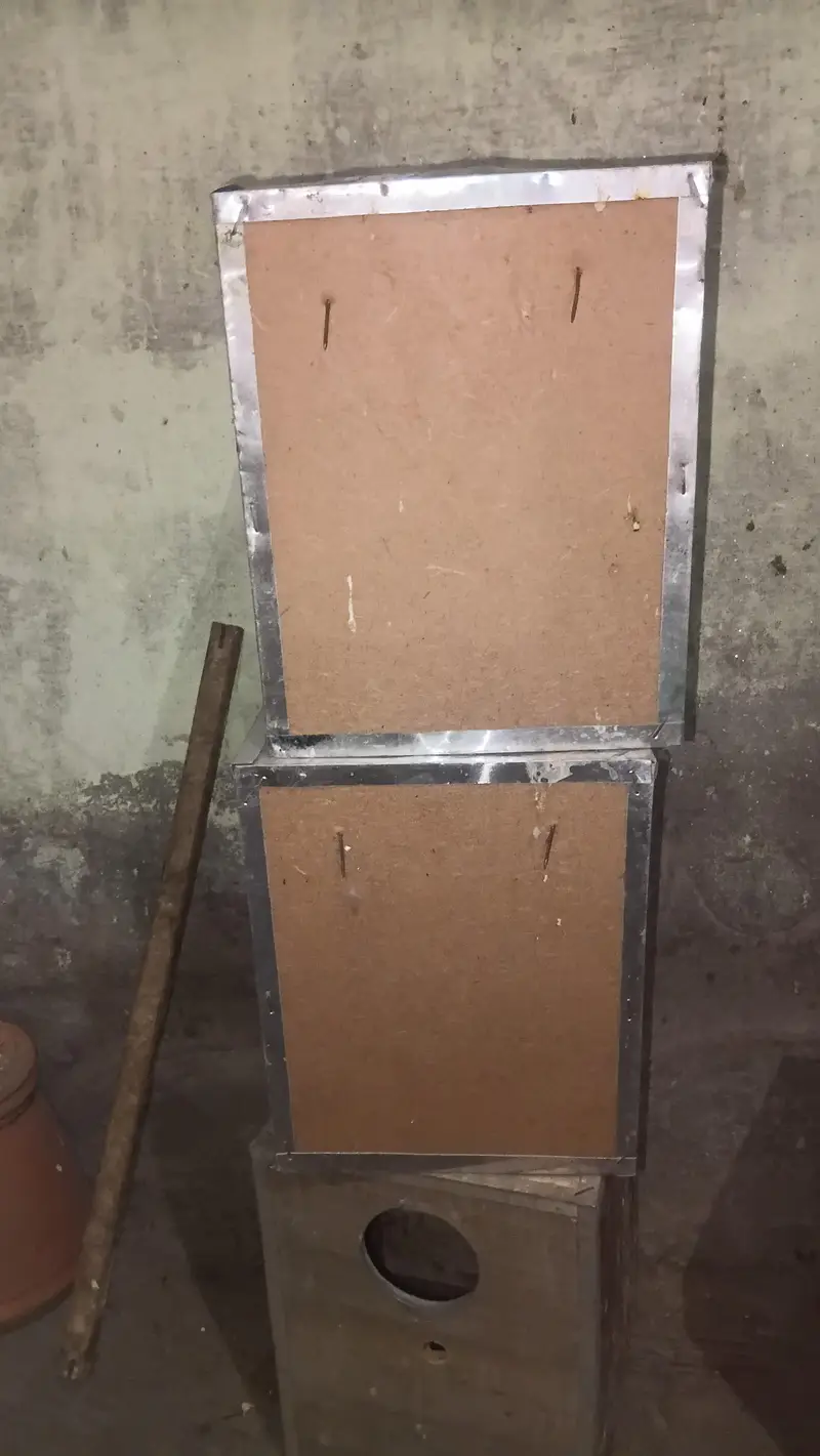 box love birds — photo 3