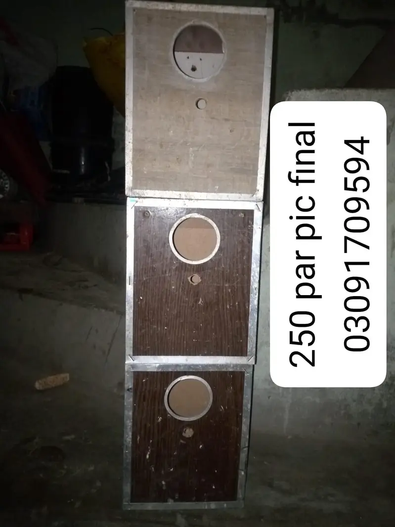box love birds — photo 4