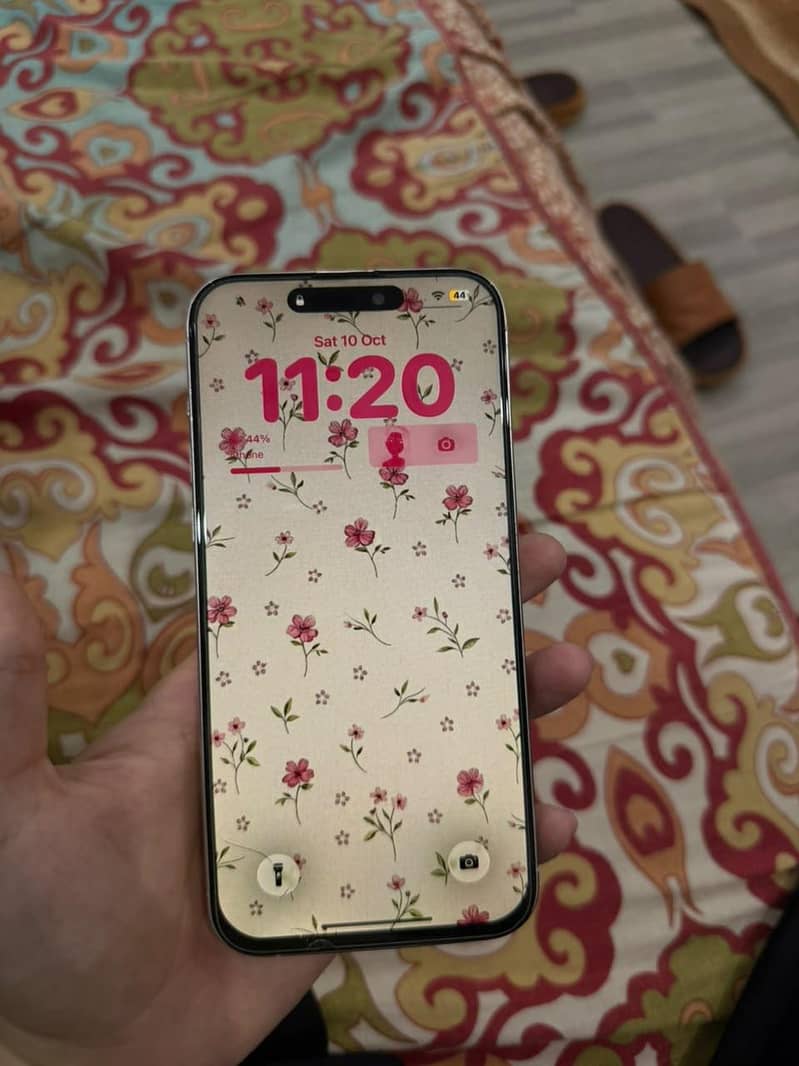 Apple iPhone 15 Pro Max 1