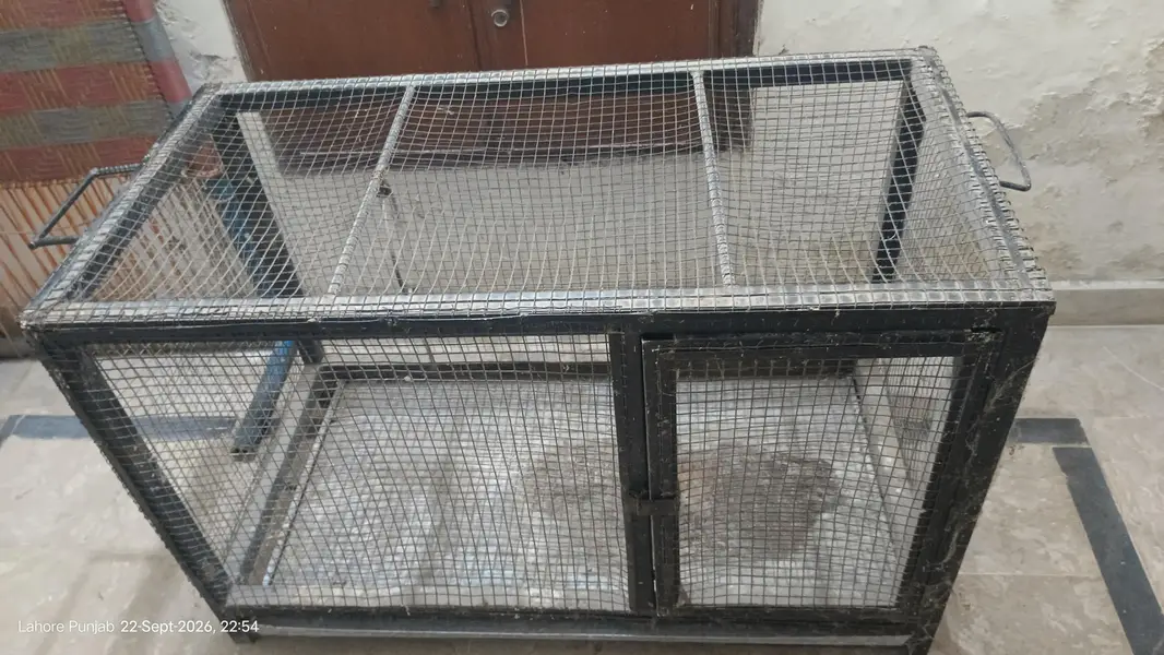 Heavy Duty Iron Cage / Pinjra -35 KG – Lahore — photo 2