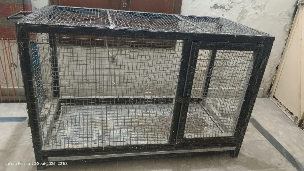 Heavy Duty Iron Cage / Pinjra -35 KG – Lahore — photo 3