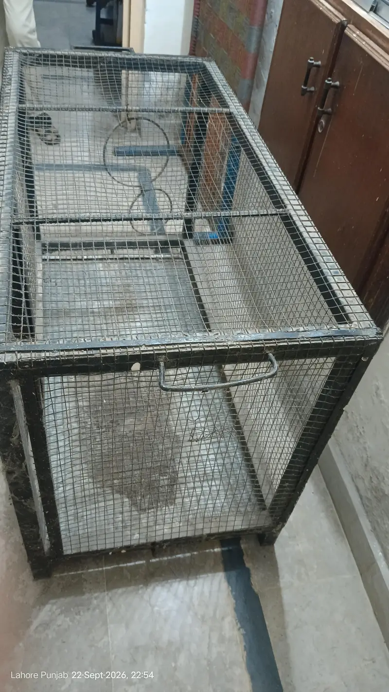 Heavy Duty Iron Cage / Pinjra -35 KG – Lahore — photo 4