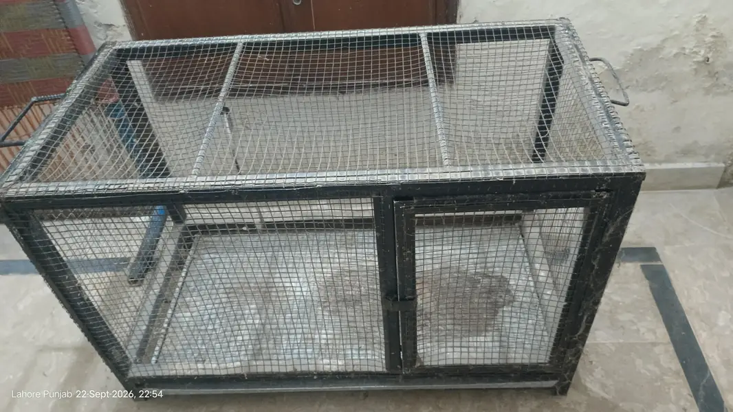 Heavy Duty Iron Cage / Pinjra -35 KG – Lahore — photo 5
