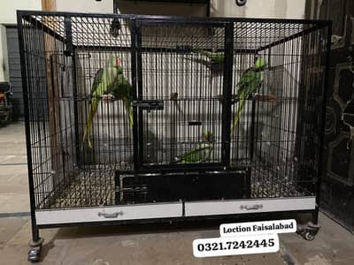 Raw parrot + cages