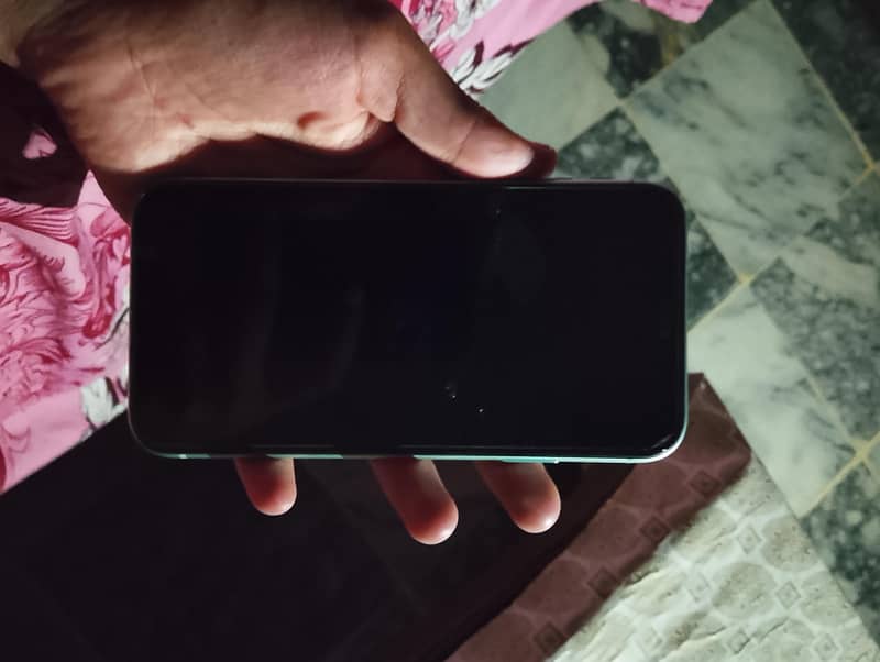 Apple iPhone 11 1