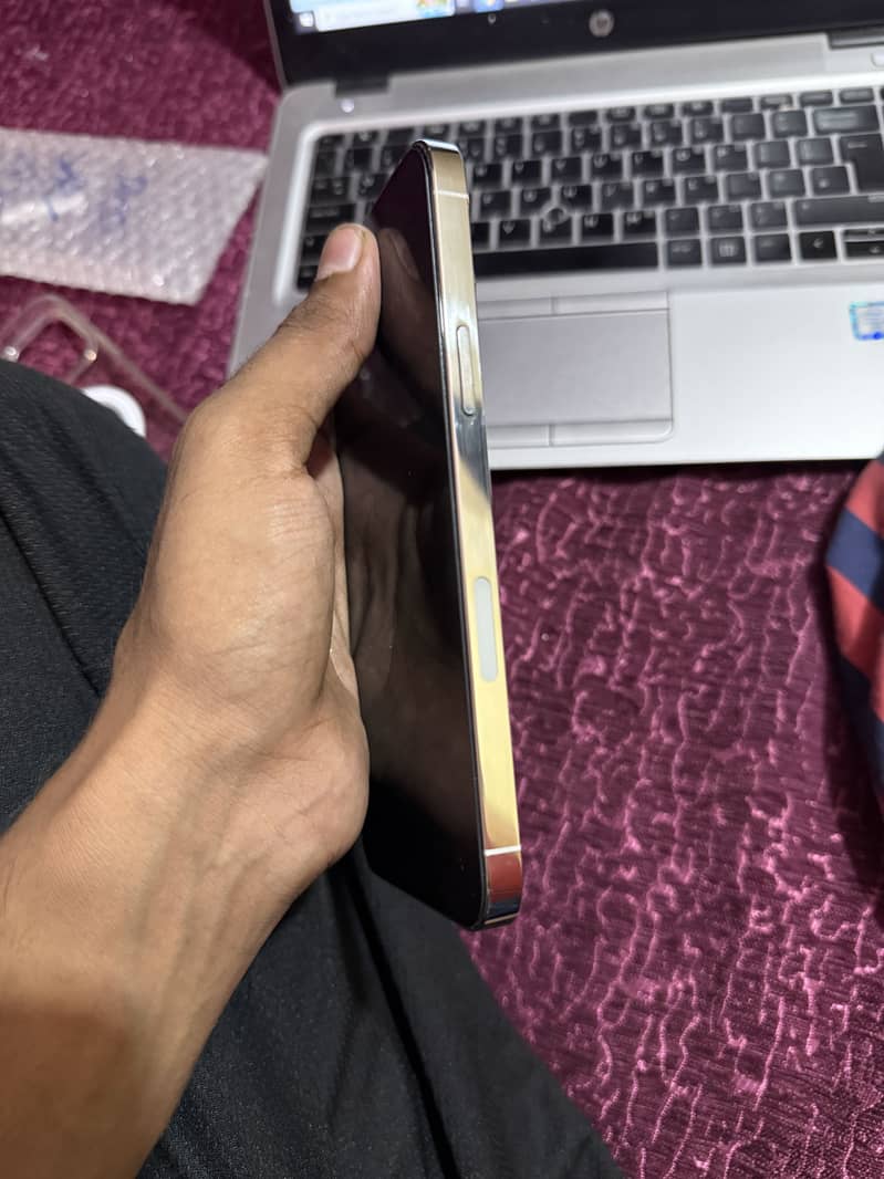 Apple iPhone 13 Pro Max 3
