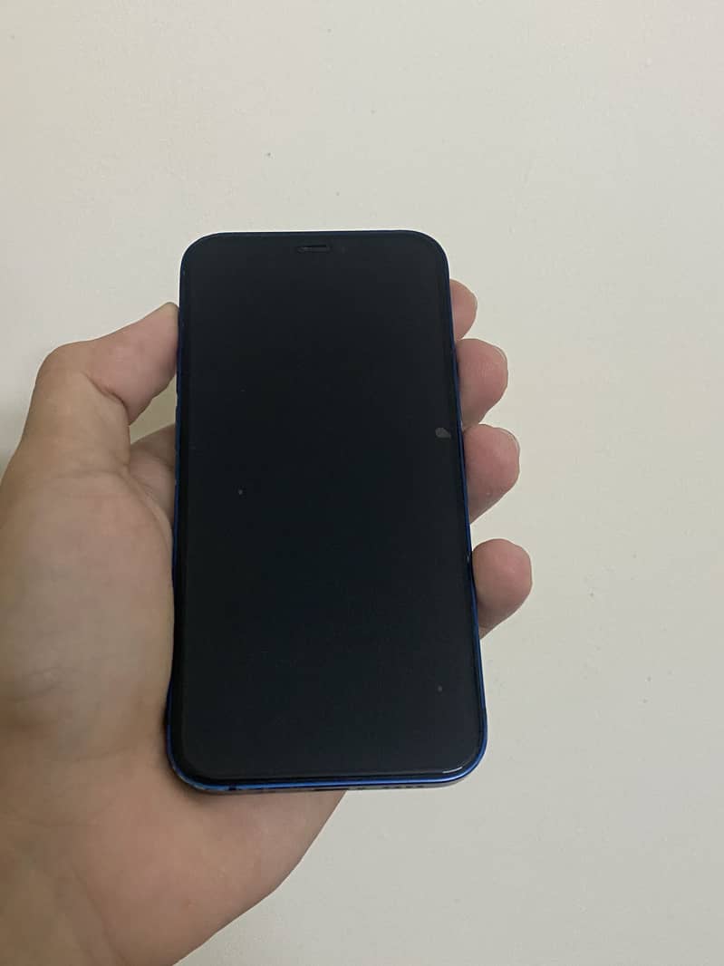 Apple iPhone 12 mini 1