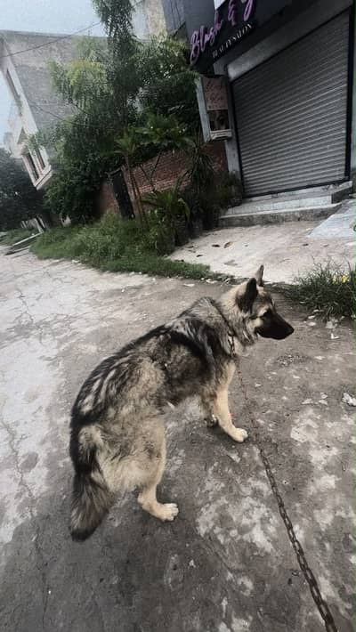 For sale