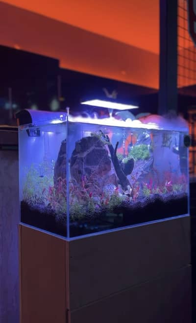 Extra clear glass imported aquarium 24 inch