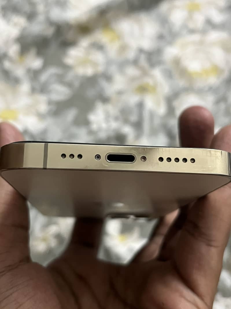 Apple iPhone 12 Pro 4
