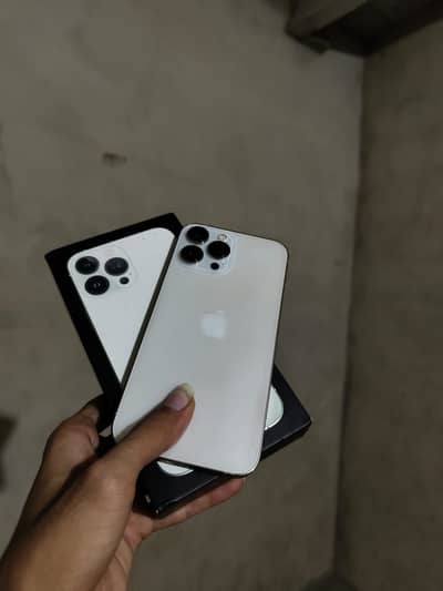 Apple iPhone 13 Pro Max
