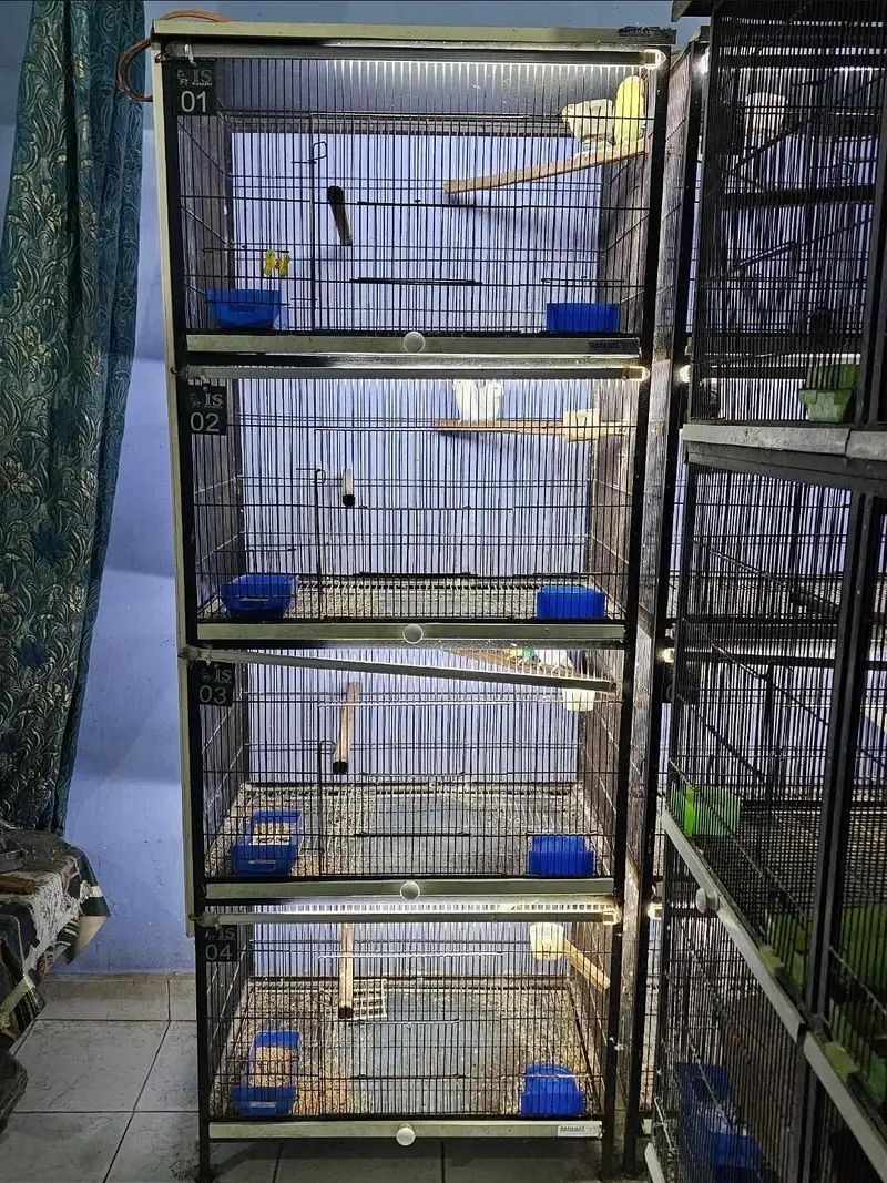 Premium Sadaqat Bird Cages for Sale | 3 Cages in Good Condition — photo 2