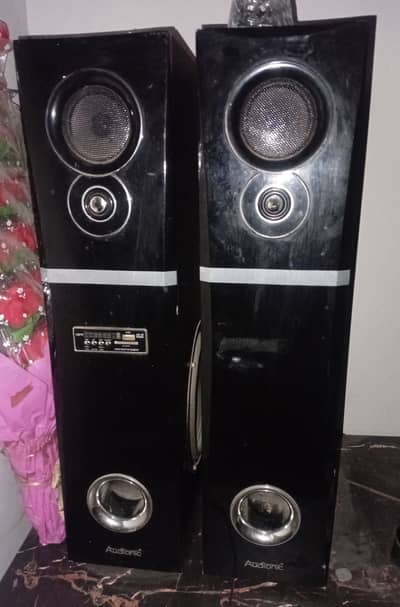 Audionic woofer