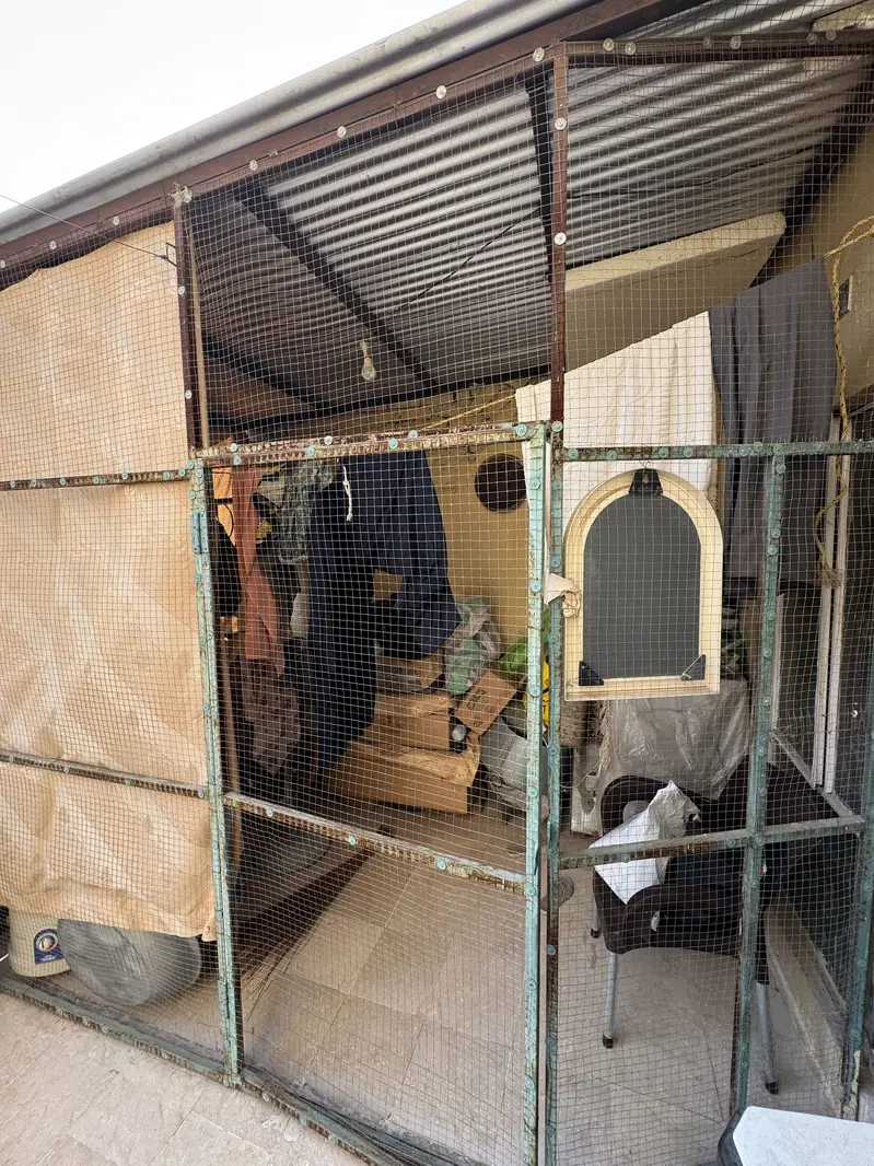 Big Size Colony Cage 10*10*6 ft high build quality — photo 6