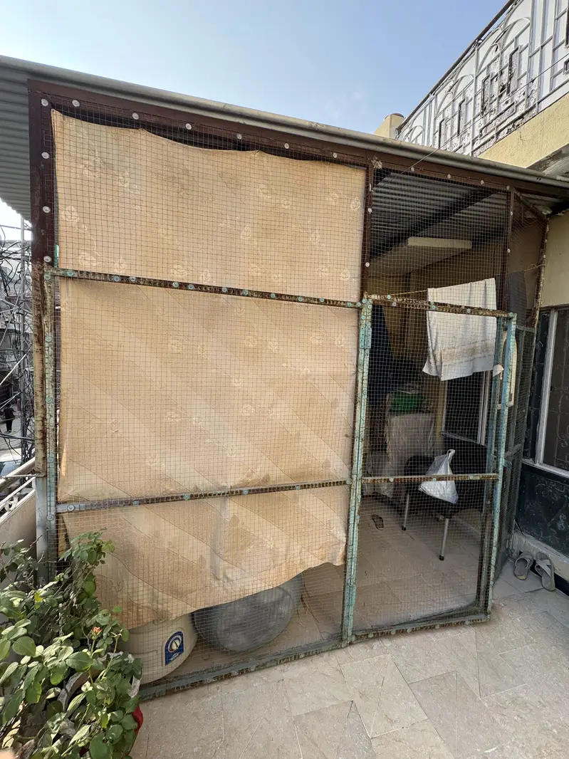 Big Size Colony Cage 10*10*6 ft high build quality — photo 8