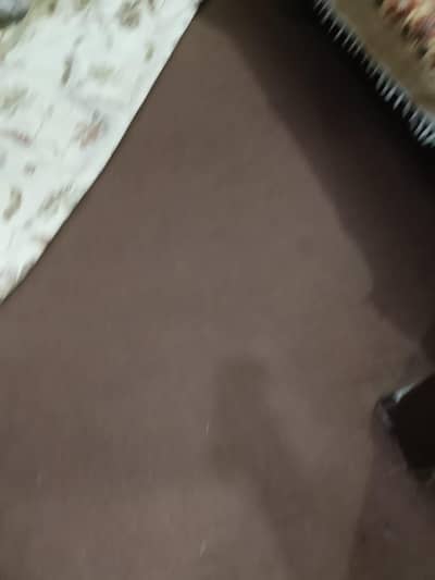 carpet 10*10 two room