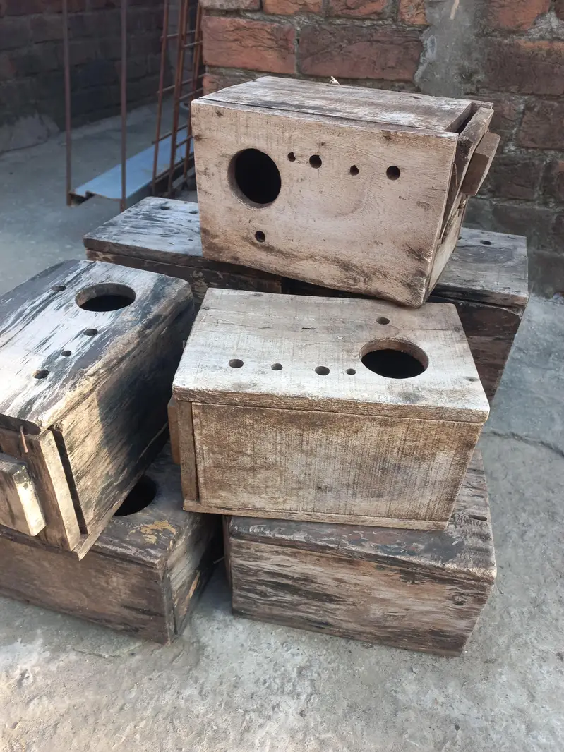 Love bird box — photo 3