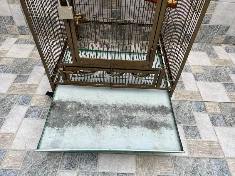 Heavy Duty Large Bird Cage for Sale   Price: Rs. 25,000 — photo 8