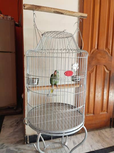 Cage urgent sell