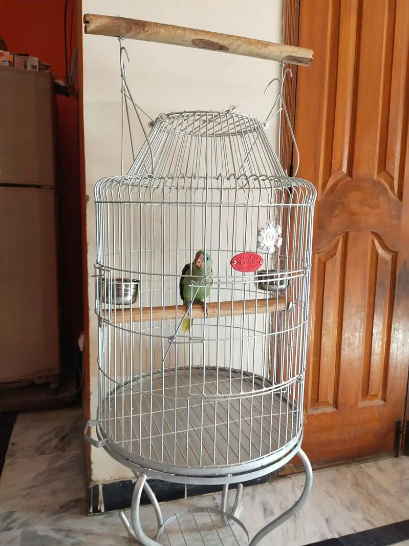 Cage urgent sell