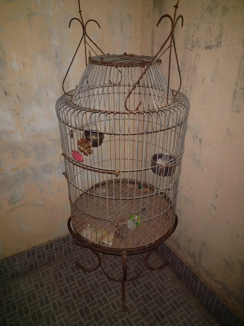 Cage urgent sell — photo 2