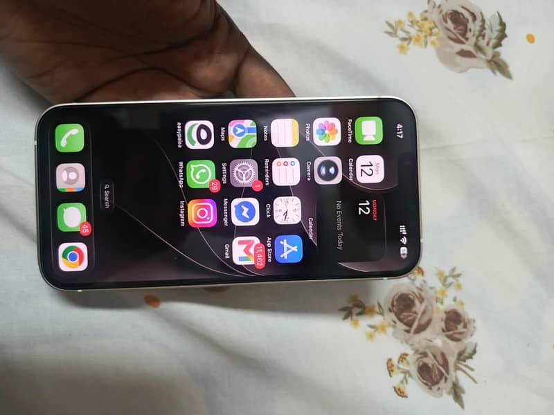 Apple iPhone 13 0
