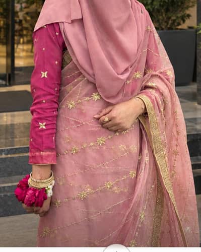 Pure organza two shade beautiful saree