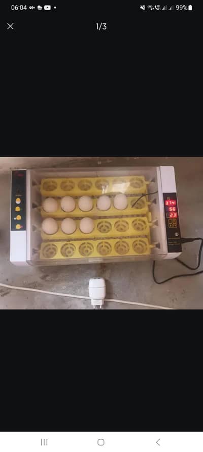 hen automatica incubator