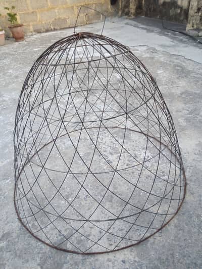 Hens Pinjara
