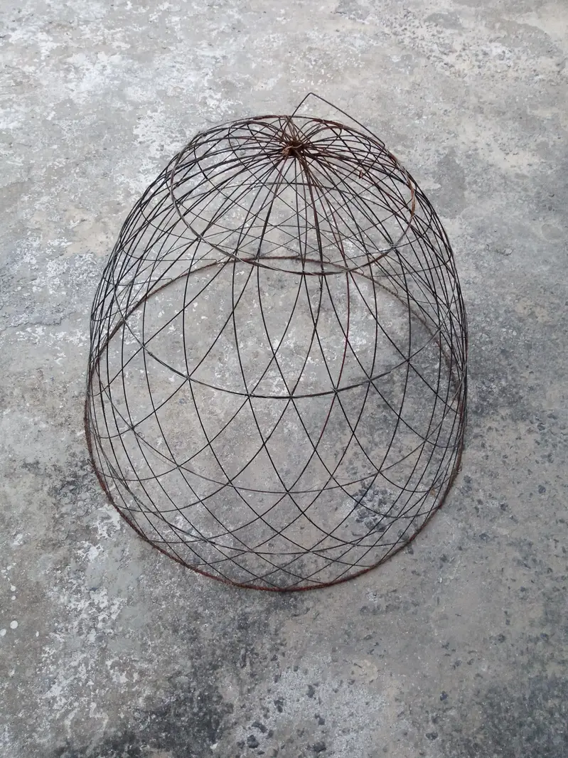 Hens Pinjara — photo 3