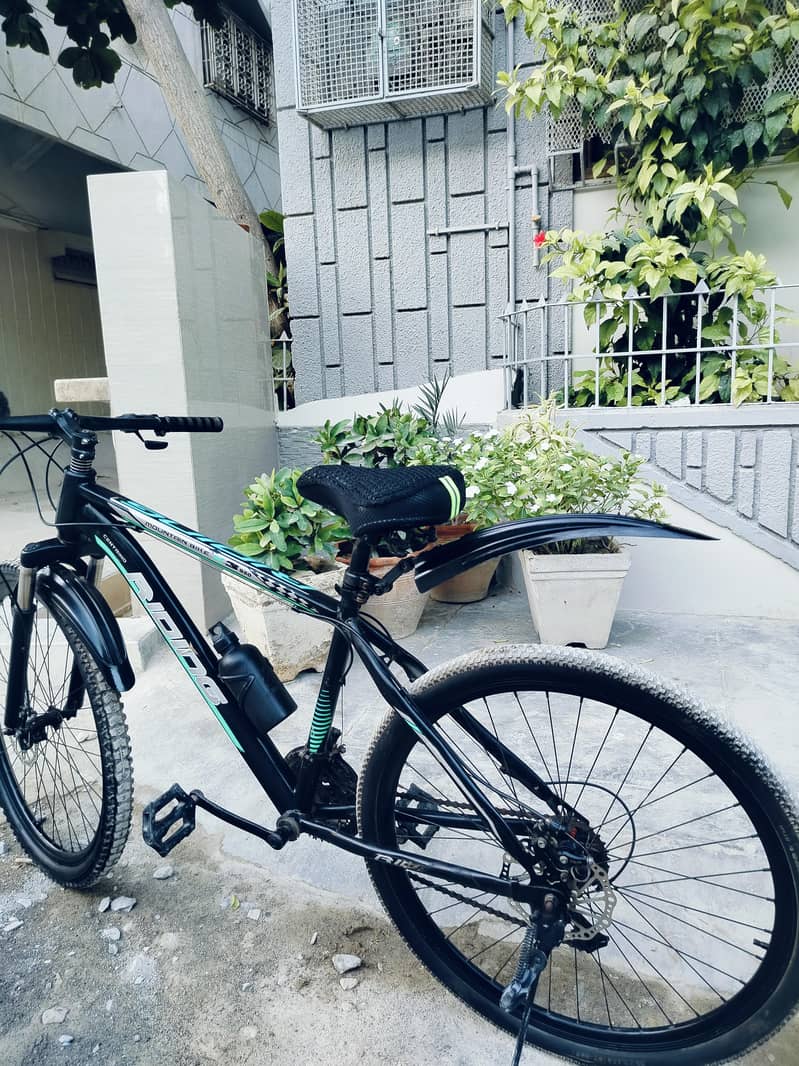 bicycle 2