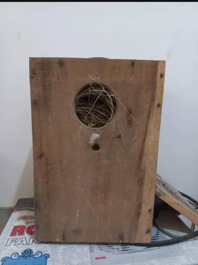 lovebird kikar Boxes