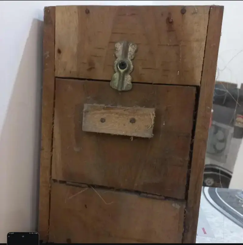 lovebird kikar Boxes — photo 2