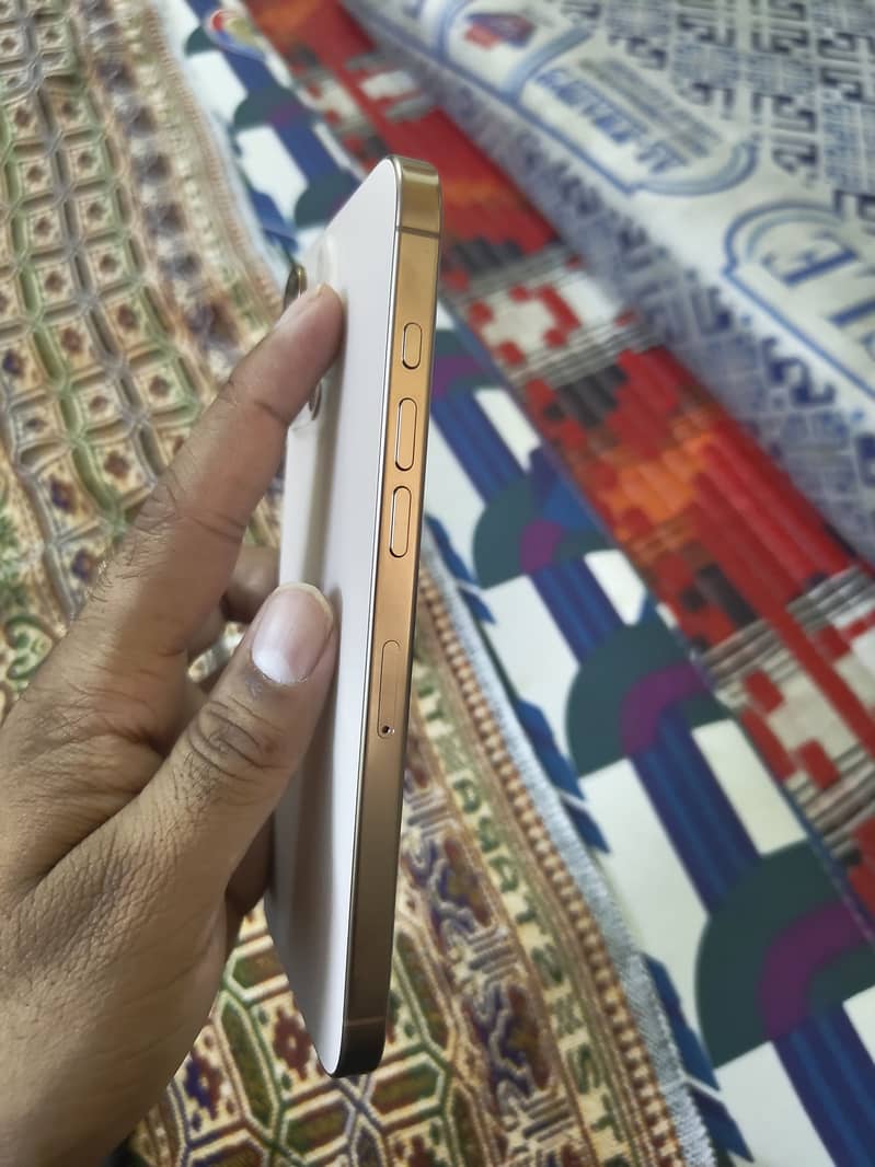 Apple iPhone 16 Pro Max 2