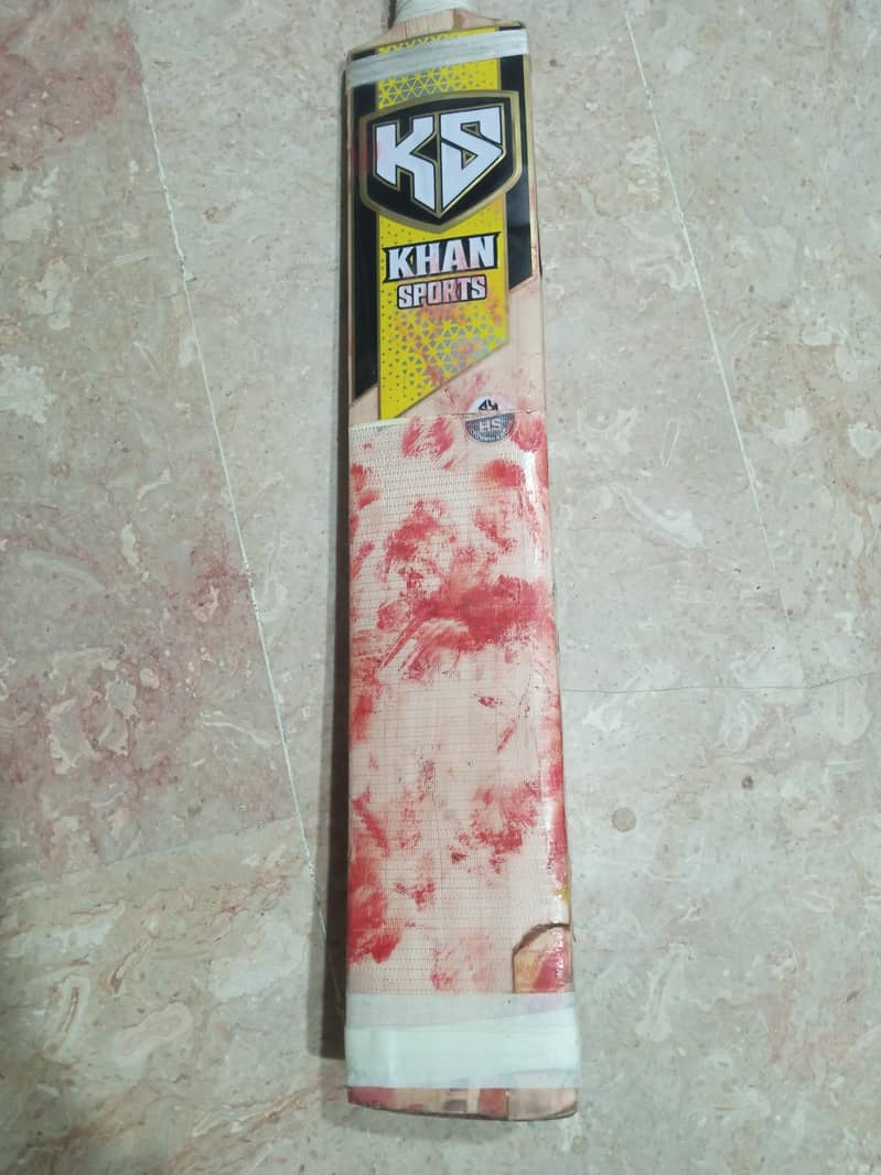 Cricket bat 2