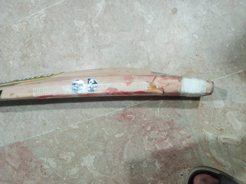 Cricket bat 4