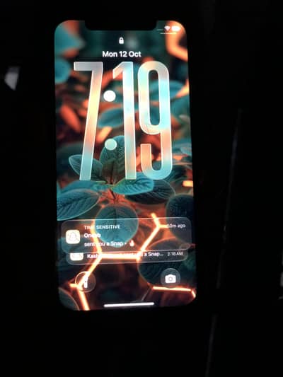 Apple iPhone 12 Pro