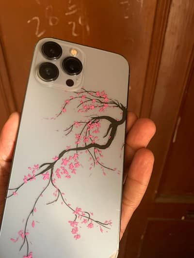 Apple iPhone 13 Pro Max